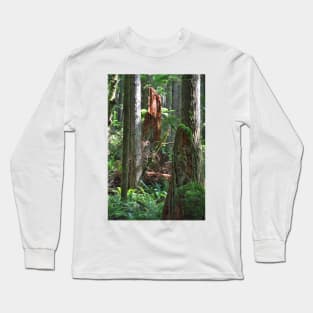 Sunlit Forest Stump Long Sleeve T-Shirt